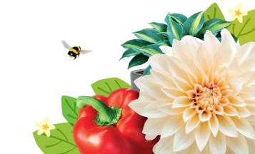 Alimentos para plantas