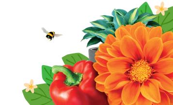 Fertilizante para plantas