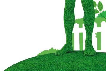 Lawn Care