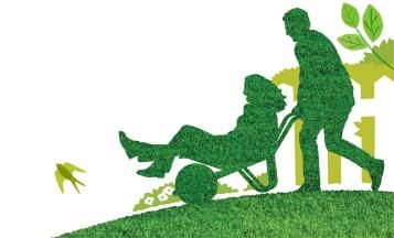 Lawn Weed Control
