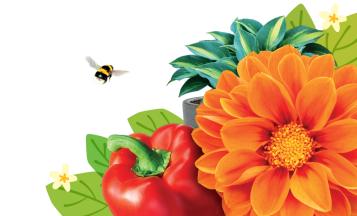 Soil Supplements