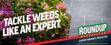 Roundup® Speed Ultra Ready To Use - Tackle Weeds Like An Expert