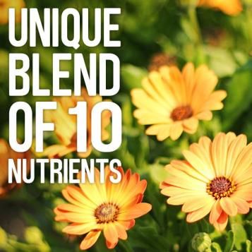 Unique blend of 10 nutrients