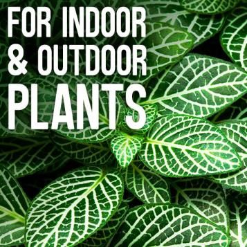 For indoor and outdoor plants