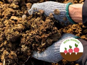 Manure with humus that increases yields naturally