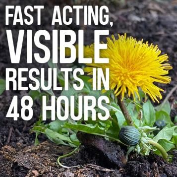 Results in 48 hours