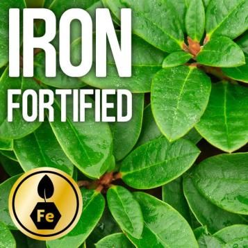 Iron fortified