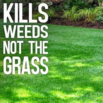 Kills weeds not the grass