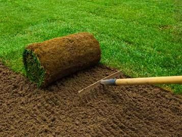 Improves lawn structure