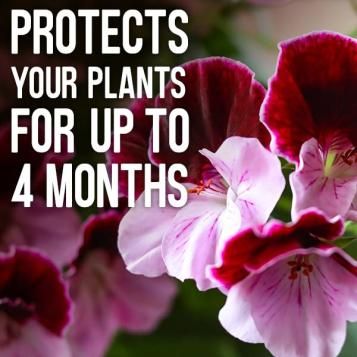 Protects plants for up to 4 months