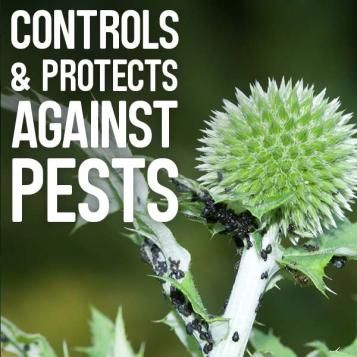 Controls and protects against pests