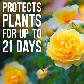 A single application can protect plants for up to 21 days