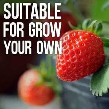 Suitable for grow your own
