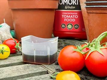 For tomatoes and flowering pot plants