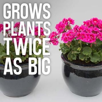 Grows plants twice as big