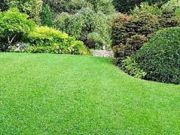 Provides season-long lawn weed control