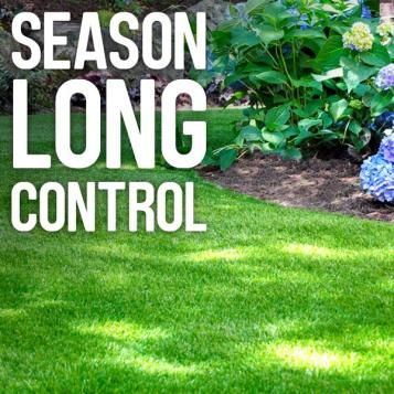 Season-long control