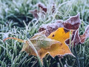 Enhanced winter lawn protection