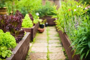 Raised bed gardening - Love The Garden