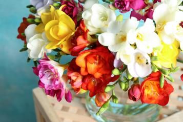 Spring flowers in a vase | Love the Garden | Miracle Gro