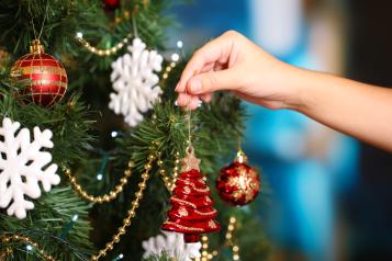 Bien conserver son sapin de Noël