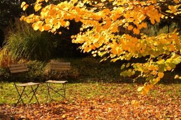 Autumn wildlife | David Domoney | Miracle-Gro