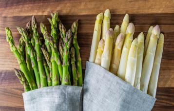 Culture et entretien de l'asperge