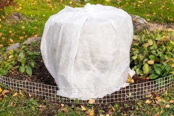 Retour du froid : protégez votre jardin avec le voile d'hivernage