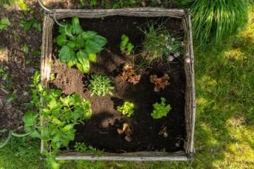 Connaître son jardin