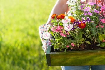 5 astuces pour réussir vos jardinières