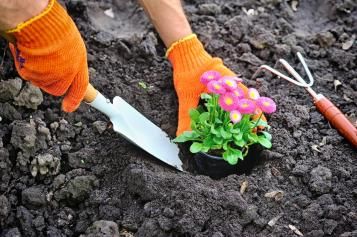 Outils de jardinage à main pour semis et plantations