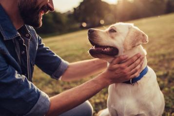 Bien avec mon chien