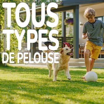 Substral Sport & Jeux semences gazon Tous types de pelouse