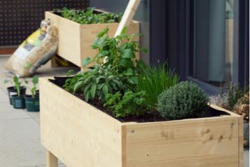 Potager en ville ou sur balcon : cultivez vos légumes en sac