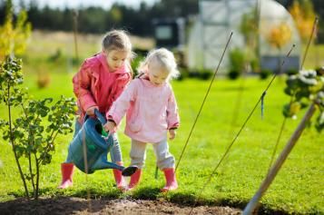 watering-across-seasons