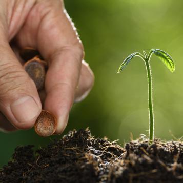 KB® Herbatak super zaaien en planten mogelijk na 4u