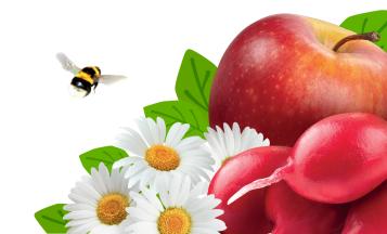Image for Sustainability