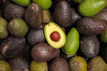 Image for Avocado