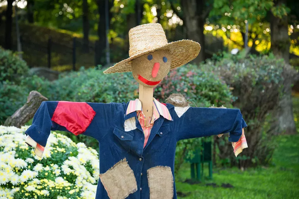 https://www.lovethegarden.com/sites/default/files/styles/scale_xl_col_12/public/content/articles/shutterstock_269205995.jpg.webp?itok=vGjj9gYW