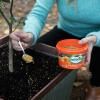 Scotts Osmocote Controlled Release Fertiliser for Pots, Planters image 5