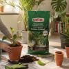 Substral Kamerplanten- en Palmenpotgrond image 2