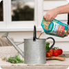 Scotts Organic Plant Food Concentrate Tomato Veg & Herb   image 7