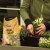 SUBSTRAL® Naturen® Universalerde Torffrei image 7