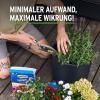 SUBSTRAL® Langzeit Depotdünger für Balkonblumen image 5