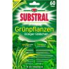 SUBSTRAL® Grünpflanzen Dünger-Stäbchen image 2