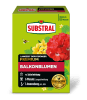 SUBSTRAL® Langzeit Depotdünger für Balkonblumen main image