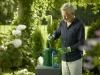 SUBSTRAL® Thuja-Vital image 4