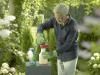 SUBSTRAL® Thuja-Vital image 5