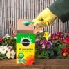 Miracle-Gro® All Purpose Soluble Plant Food image 2