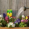 Miracle-Gro® All Purpose Soluble Plant Food image 4